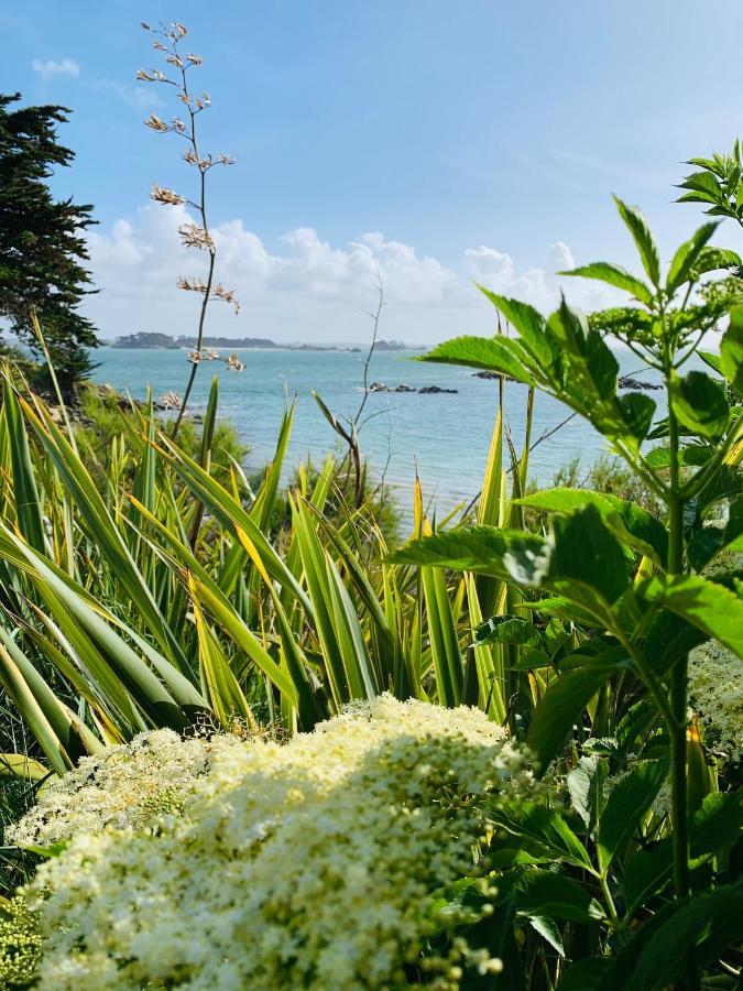 L'Escale 551, Gite Santec A 250M De La Plage 外观 照片