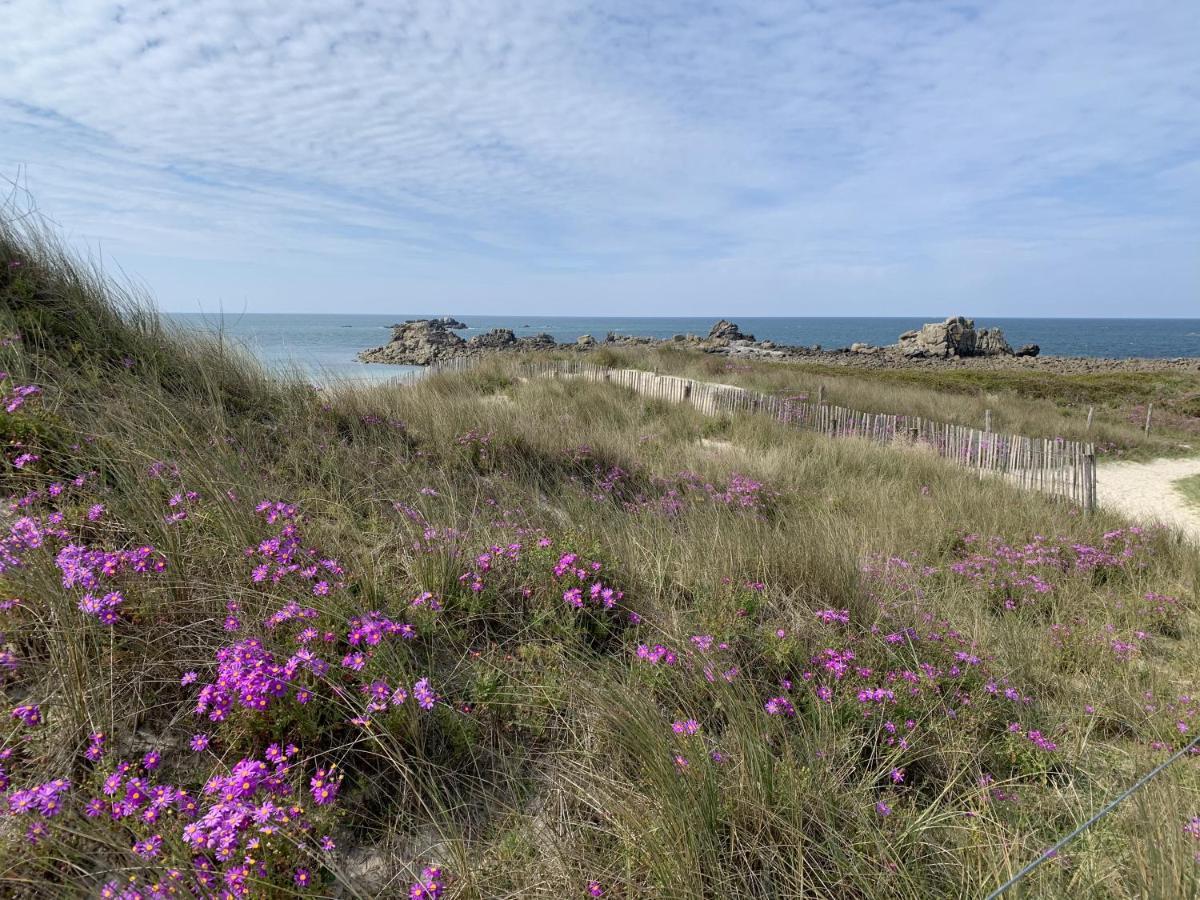 L'Escale 551, Gite Santec A 250M De La Plage 外观 照片