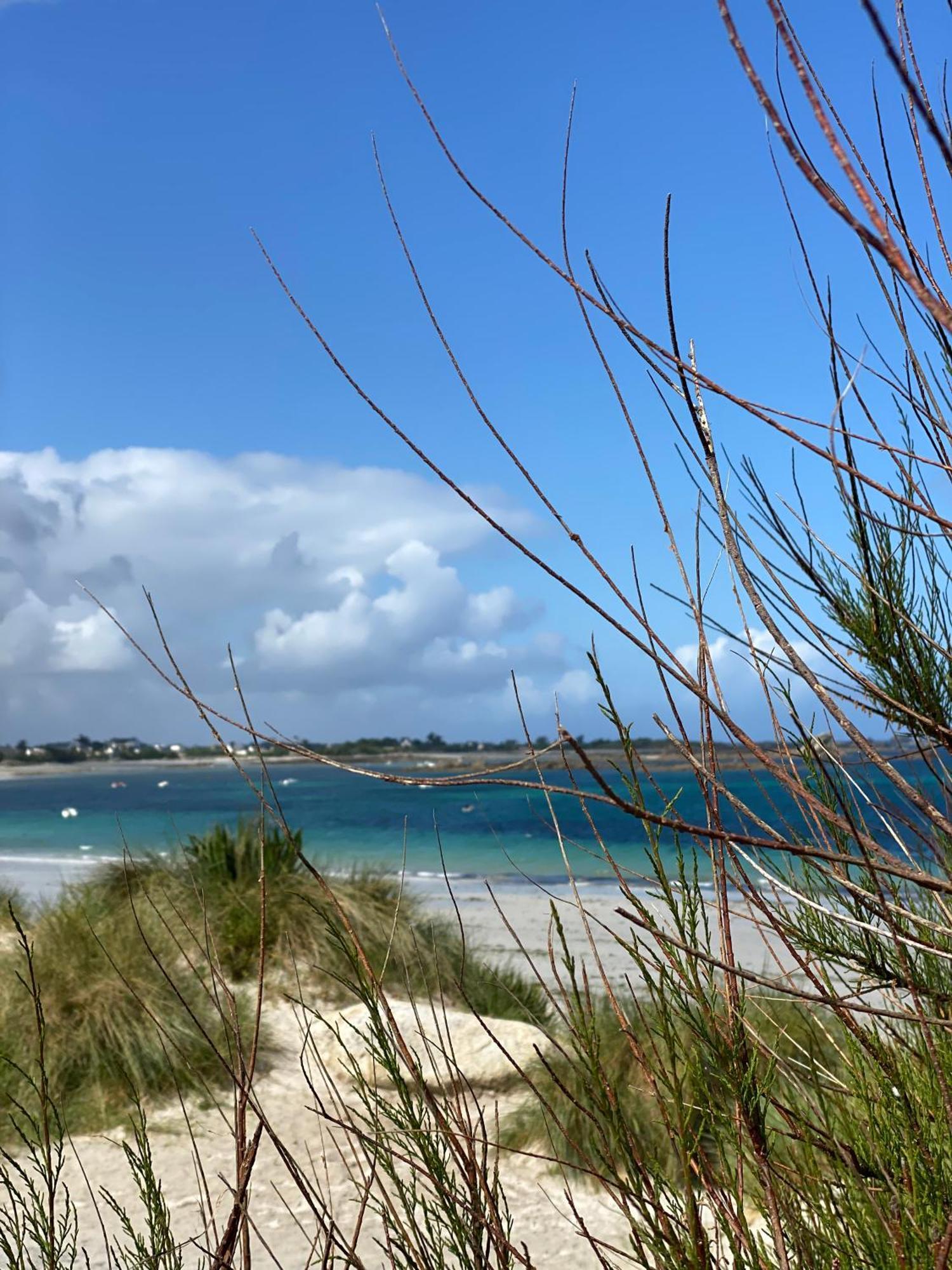 L'Escale 551, Gite Santec A 250M De La Plage 外观 照片